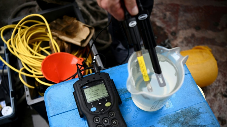 Unbekannte f&auml;rben Wildbach in Oberbayern &uuml;ber hunderte Meter neongr&uuml;n