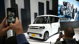 El gigante chino BYD sufre una caída del 33% en su beneficio neto pese a su avance en Europa