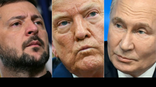 Putin tells Trump Russia is ready for next round of Ukraine talks