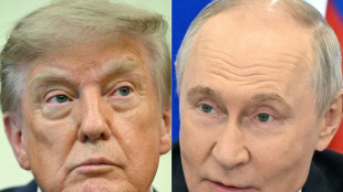 Poutine et Trump ont parl&eacute; avec une "extr&ecirc;me franchise" de l'Ukraine, selon le Kremlin