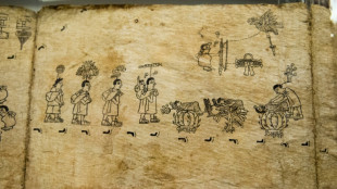 Paris exp&otilde;e manuscrito emprestado pelo M&eacute;xico sobre viagem m&iacute;tica dos astecas