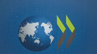 OECD-Bericht: US-Zölle belasten Weltwirtschaft weniger als erwartet 