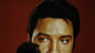 Elvis volver&aacute; a los escenarios en 2024 en Londres gracias a la inteligencia artificial