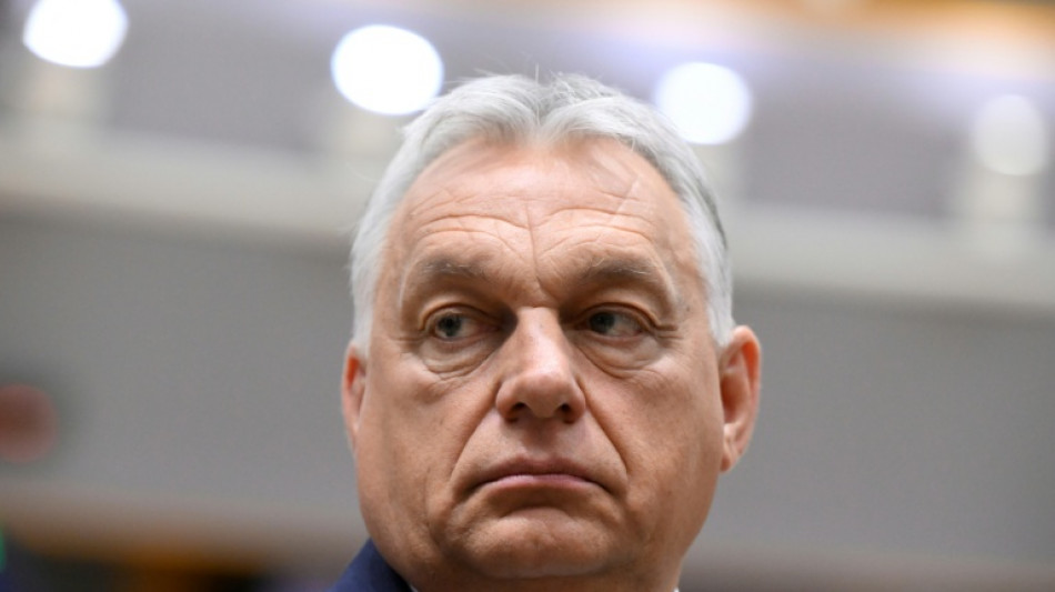 Hongrie : une vidéo d'un "palais" de la famille Orban atteint 700.000 vues