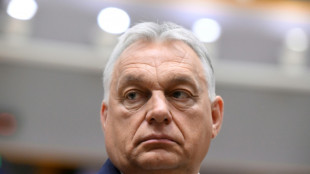 Hongrie : une vidéo d'un "palais" de la famille Orban atteint 700.000 vues