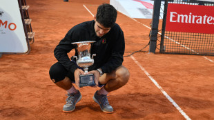 Stop a vendita biglietti Internazionali, Fitp 'problema tecnico'