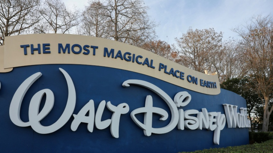 Trabajador de Disney frena roca de goma de 180 kilos en parque tem&aacute;tico en EEUU