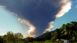 Indonesia volcano spews 18-kilometre ash tower: agency
