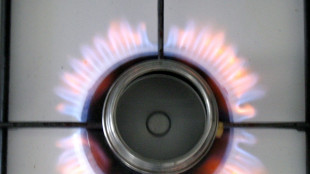 Il prezzo del gas chiude in rialzo a 46,18 euro al megawattora