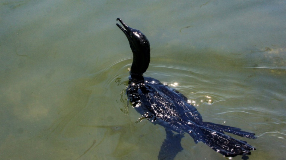 Le Venezuela va d&eacute;polluer son plus grand lac, affect&eacute; par des mar&eacute;es noires
