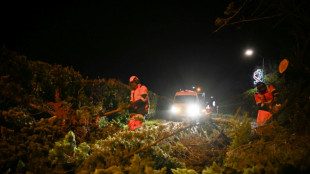 Temp&ecirc;te Goretti: 380.000 foyers sans &eacute;lectricit&eacute;, les transports perturb&eacute;s