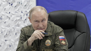 Cremlino, 'molti punti piano Usa richiedono discussione'