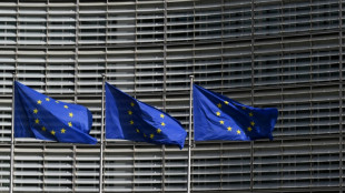 Des responsables talibans attendus mardi &agrave; Bruxelles pour parler immigration
