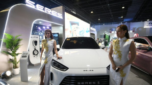 El fabricante chino de autos solicita patente para instalar inodoros accionables por voz