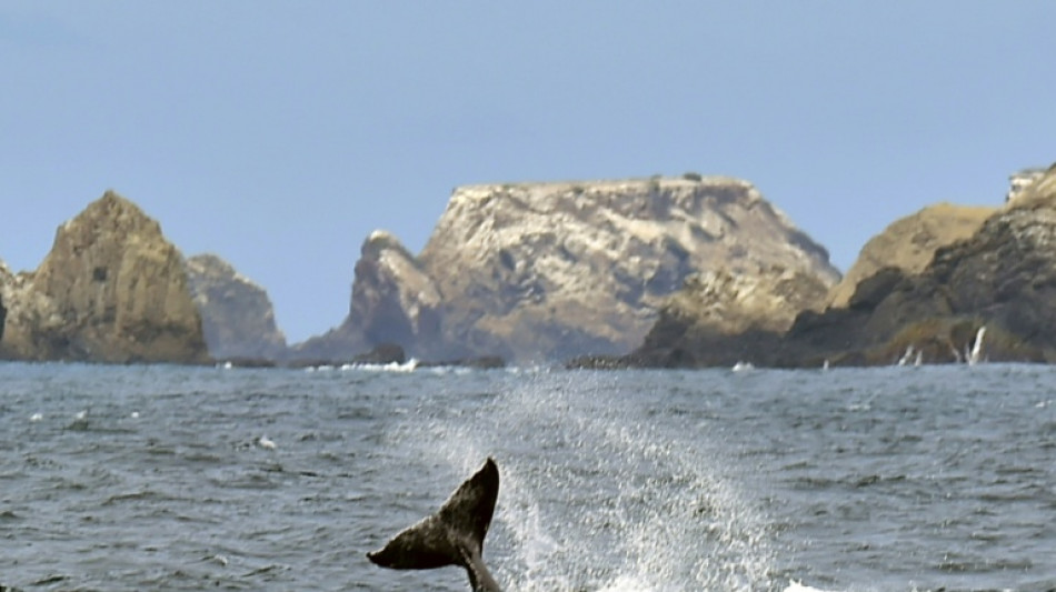 Seis personas, incluida una beb&eacute;, mueren en un ataque armado en una playa de Ecuador