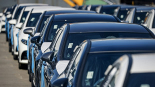 Erneut deutlicher Anstieg der Pkw-Neuzulassungen - Markt für E-Autos wächst stark