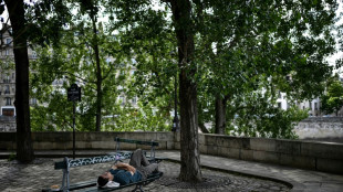 Un &quot;Paris-Jardin&quot; avec ombri&egrave;res: les recommandations pour adapter la capitale aux canicules
