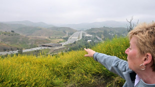 A Los Angeles, un &eacute;norme pont pour animaux con&ccedil;u pour sauver les pumas