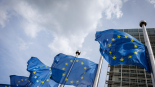 Fonti Ue, 'i contro-dazi saranno sospesi dal 4 agosto'