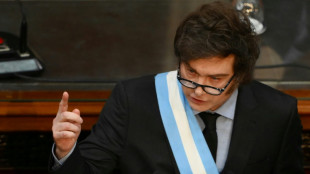 Parlament in Argentinien gibt Milei gr&uuml;nes Licht f&uuml;r Verhandlungen mit IWF