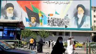 Ir&aacute;n niega "categ&oacute;ricamente" cualquier v&iacute;nculo con el atacante de Salman Rushdie