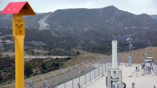 Il prezzo del gas &egrave; in calo a 31 euro ad Amsterdam