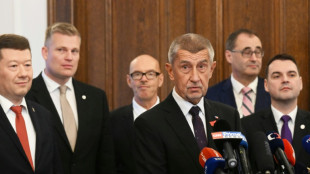 Billionaire Trump fan Babis returns to power as Czech prime minister