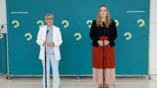 Gr&uuml;ne dringen auf mehr Klimaschutz und Reformen "mit sozialem Kompass"