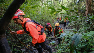 Indonesian rescuers find debris from missing plane