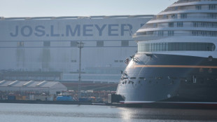German shipyard, rescued by the state, gets mega deal