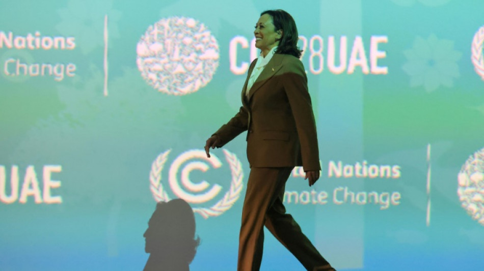 Cambio clim&aacute;tico: otro tema de Trump para amplificar la desinformaci&oacute;n sobre Harris