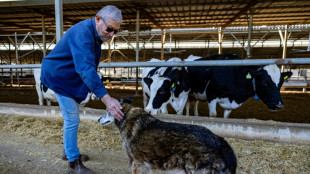 Dans le nord d'Isra&euml;l, on reste malgr&eacute; les tirs du Hezbollah