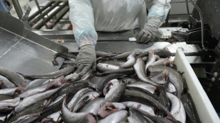 Chile aprueba aumentar cuota de captura para pescadores artesanales de la popular merluza