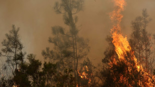 El fuego asedia Burdeos y sigue sin control en Espa&ntilde;a 
