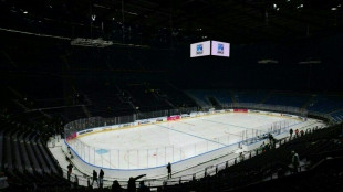 Olympic ice hockey arena will be ready for Games: IOC director