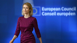 La OTAN debe volverse "m&aacute;s europea" en momentos en que Trump trastoca los lazos con el bloque