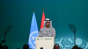 Sultan al Jaber, el empresario petrolero que aplaude el "principio del fin" del petr&oacute;leo