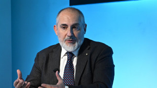 Donnarumma, 'Vogliamo contribuire a futuro ferroviario Ucraina'