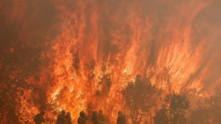 Varios incendios siguen activos en el norte de Espa&ntilde;a, que deja atr&aacute;s la ola de calor