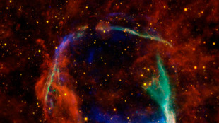 Visti gli elementi finora mancanti delle esplosioni stellari