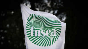 Agriculture: des actions "symboliques" pour d&eacute;noncer des importations "aberrantes"