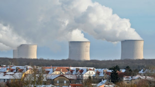 La France accueille un sommet &agrave; Paris pour concr&eacute;tiser la relance du nucl&eacute;aire 