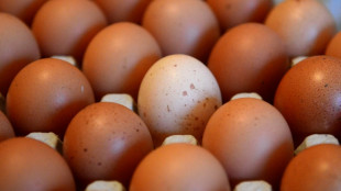 Oster-Mythos ade: Weihnachten ist Hauptgesch&auml;ft im Eierhandel