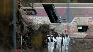 L'heure de la d&eacute;cision au proc&egrave;s de l'accident du TGV Est