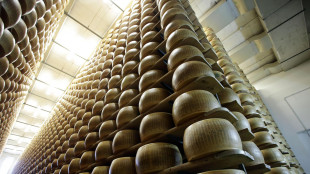 Nomisma, ogni 10% di dazi l'agroalimentare perde 500 milioni