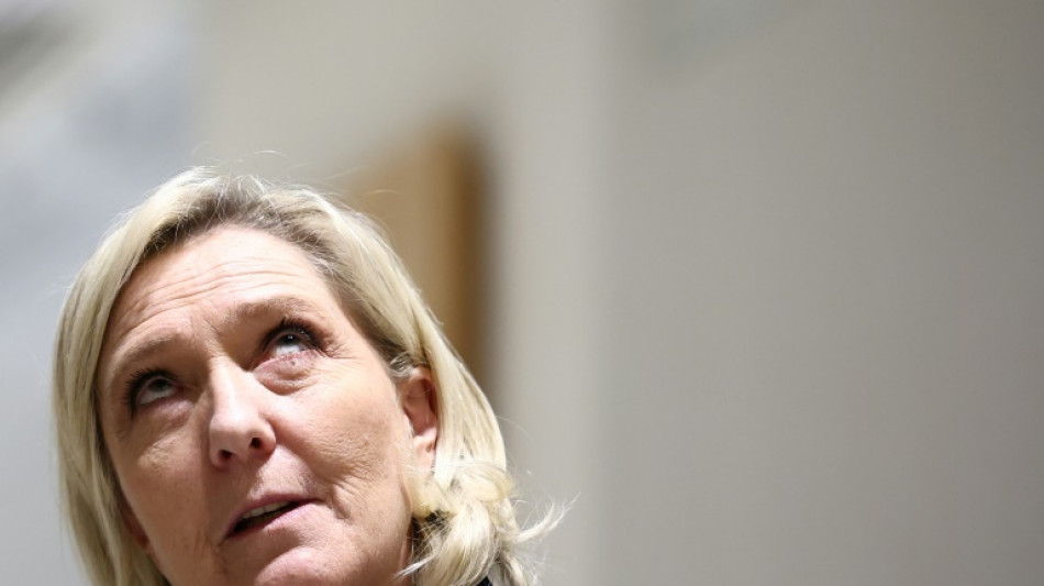 Proc&egrave;s RN: la parole &agrave; la d&eacute;fense de Marine Le Pen pour lui &eacute;viter la "mort politique"