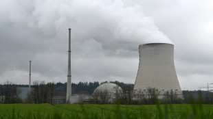 L&#039;Allemagne ferme ses derniers r&eacute;acteurs nucl&eacute;aires