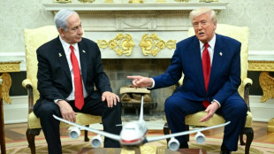 Trump "no tolerar&aacute;" que siga el juicio por corrupci&oacute;n contra Netanyahu