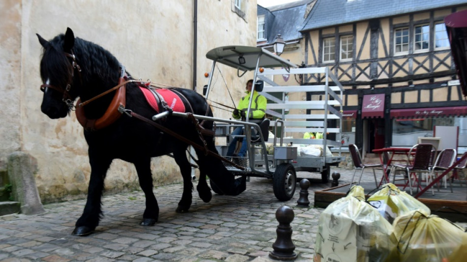 Au Mans, le cheval "Doupette" aux c&ocirc;t&eacute;s des &eacute;boueurs