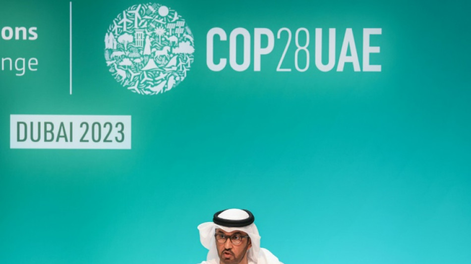 A la COP28, les pays appel&eacute;s &agrave; adopter un compromis in&eacute;dit sur les fossiles